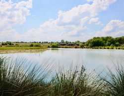 Hanworth Country Park Lincolnshire