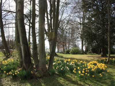 Springtime at Springwood!
