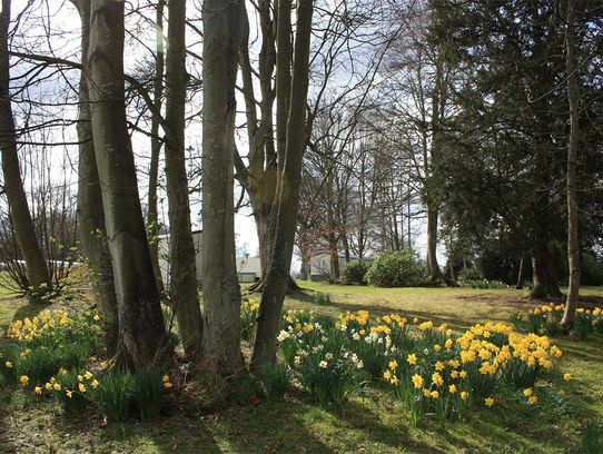 Springtime at Springwood!