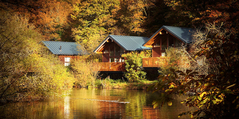 Deerpark forest holidays Cornwall