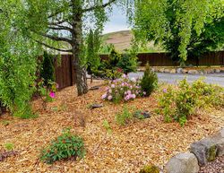 Calvine Holiday Park