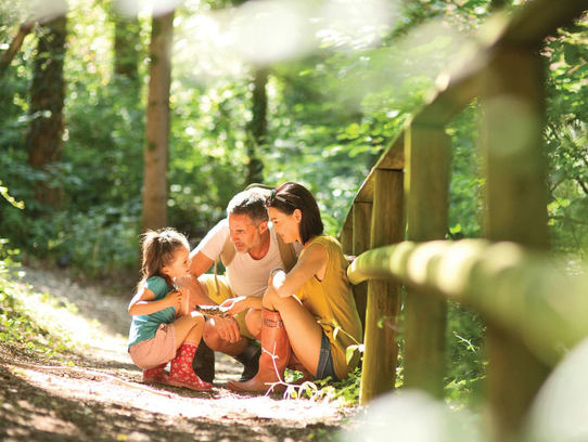 Castle Brake Holiday Park