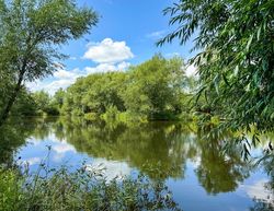 Fairwood Lakes Holiday Park