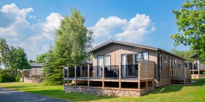 Flusco Wood Ullswater Cumbria