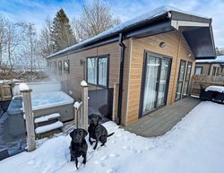 Flusco Wood Ullswater Cumbria