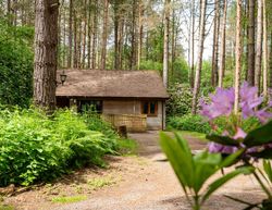 Griffon Forest North Yorkshire