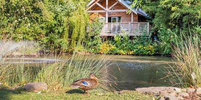 Henlle Hall Woodland Lodges Shropshire