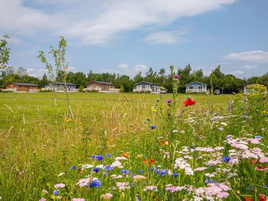 Otters Mead Boutique Lodges Norfolk