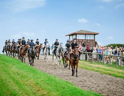 Pant Wilkin Lodges and Equestrian Centre, South Wales