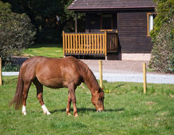 Queenshill Lodges Dumfries & Galloway