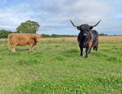 Scarborough Lodge Retreat