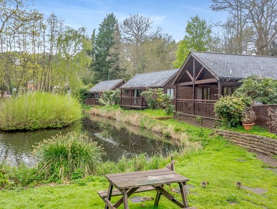 Tilford Woods Lodge Retreat Surrey