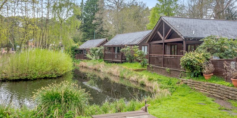 Tilford Woods Lodge Retreat Surrey