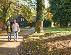 Whitemead Forest Park Gloucestershire