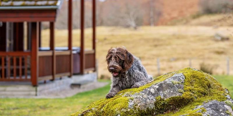 Wildside Highland Lodges at Loch Ness