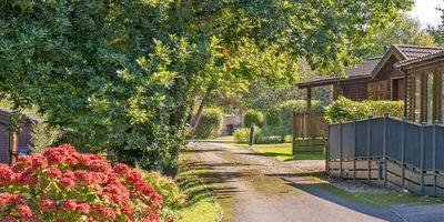 Willow Bay Lodge Escape