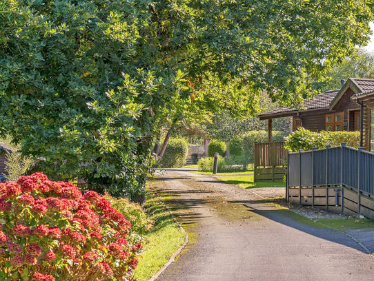 Willow Bay Lodge Escape