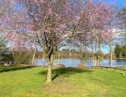 Woodland Waters Lincolnshire