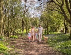 Kingfisher Holiday Park, Knaresborough