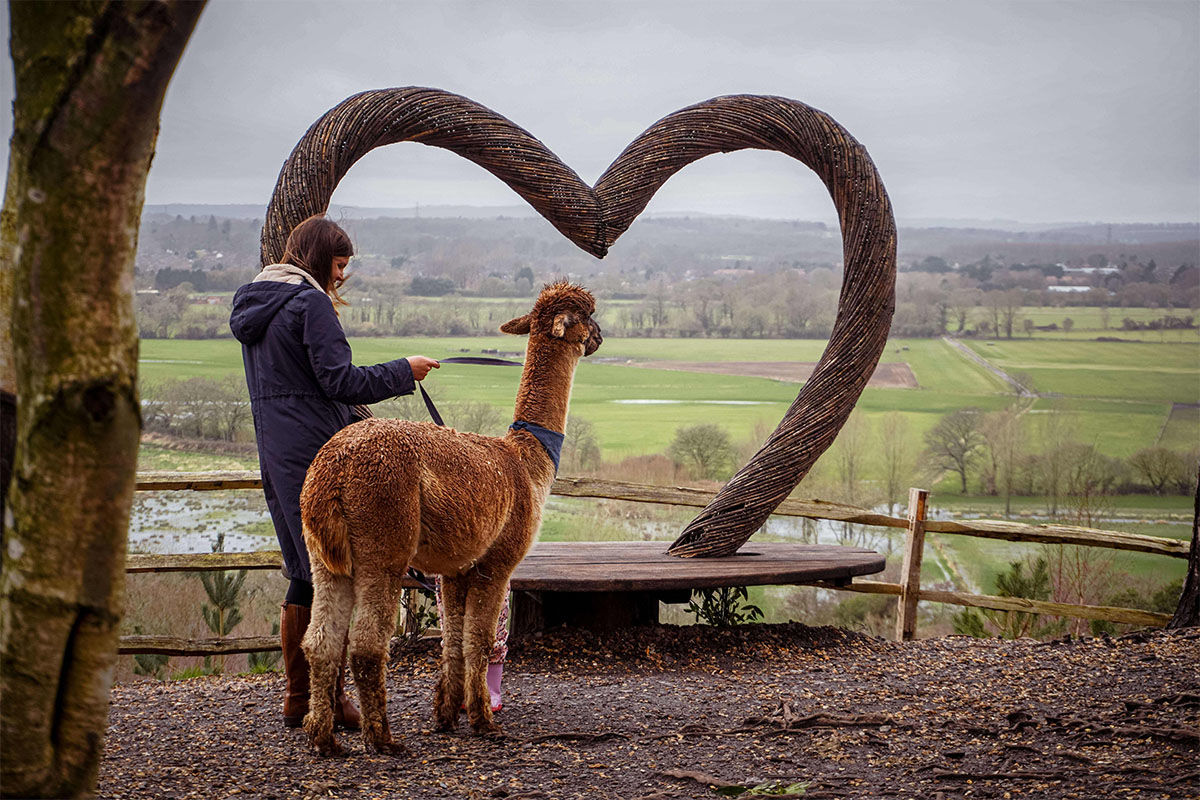 Sandy Balls Holiday Village