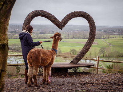 Sandy Balls Holiday Village