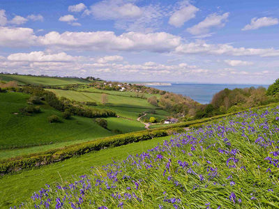 St. Helens Coastal