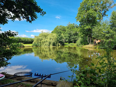 One of our three fishing lakes