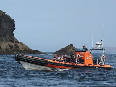 Padstow Sealife Safaris