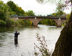Fishing by the local Blairgowrie Bridge