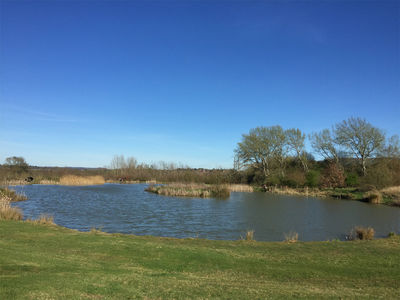 Bournewood Lodge Park - Lake at Hopyard Farm