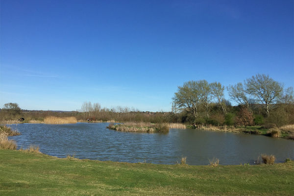 Bournewood Lodge Park - Lake at Hopyard Farm