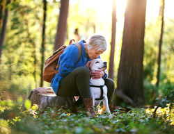 Bowland Escapes is very pet friendly