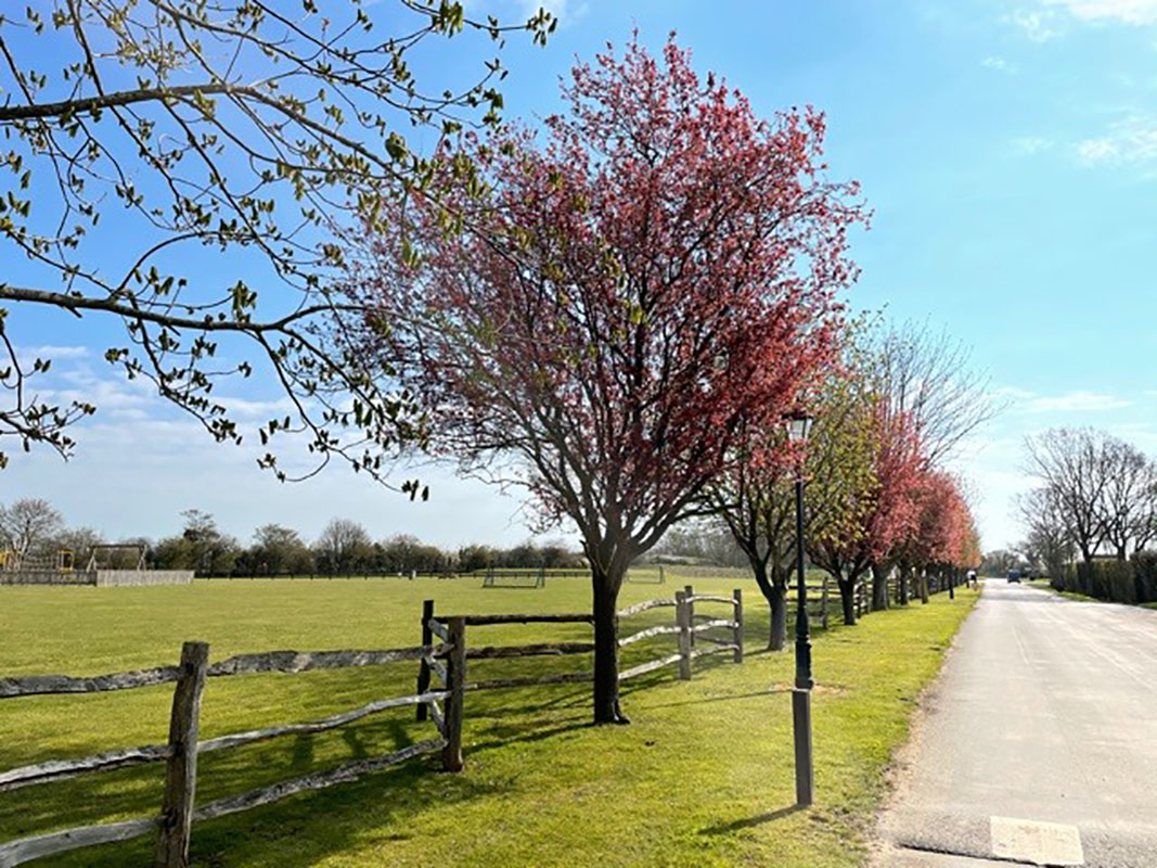 Cakes & Ale Holiday Park. Holiday homes for sale in Suffolk