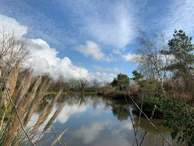 Highfield Fisheries & Leisure Lodges