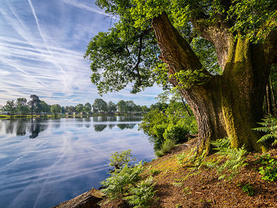 Pearl Lake Country Holiday Park Herefordshire