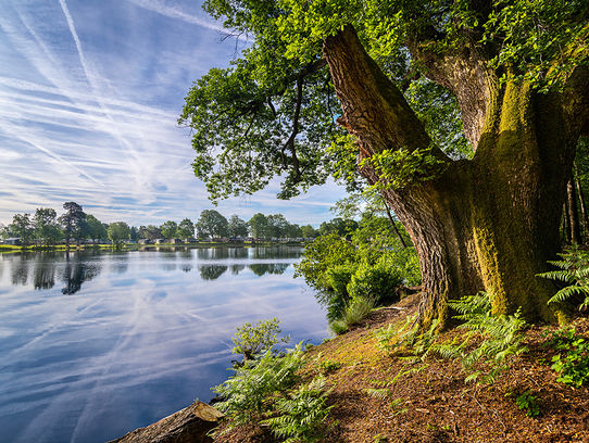 Pearl Lake Country Holiday Park Herefordshire