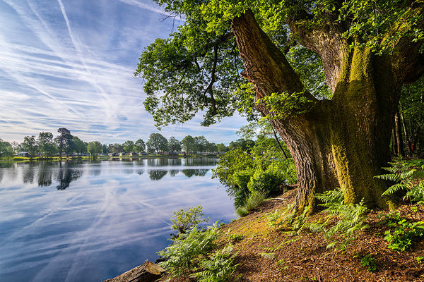 Pearl Lake Country Holiday Park Herefordshire
