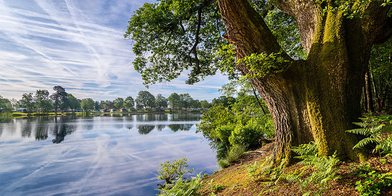 Pearl Lake Country Holiday Park Herefordshire
