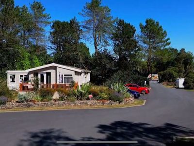 Pinegroves Country Park Derbyshire