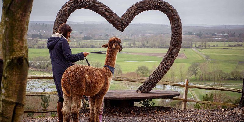 Sandy Balls Holiday Village