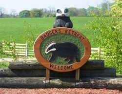 BADGERS WELCOME SIGN