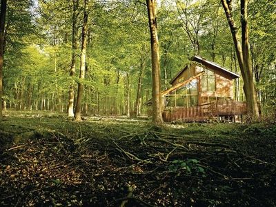 Blackwood Forest Lodges 1