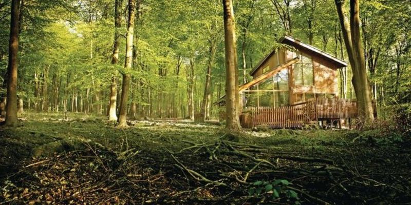 Blackwood Forest Lodges Holiday Lodge Park In Hampshire South