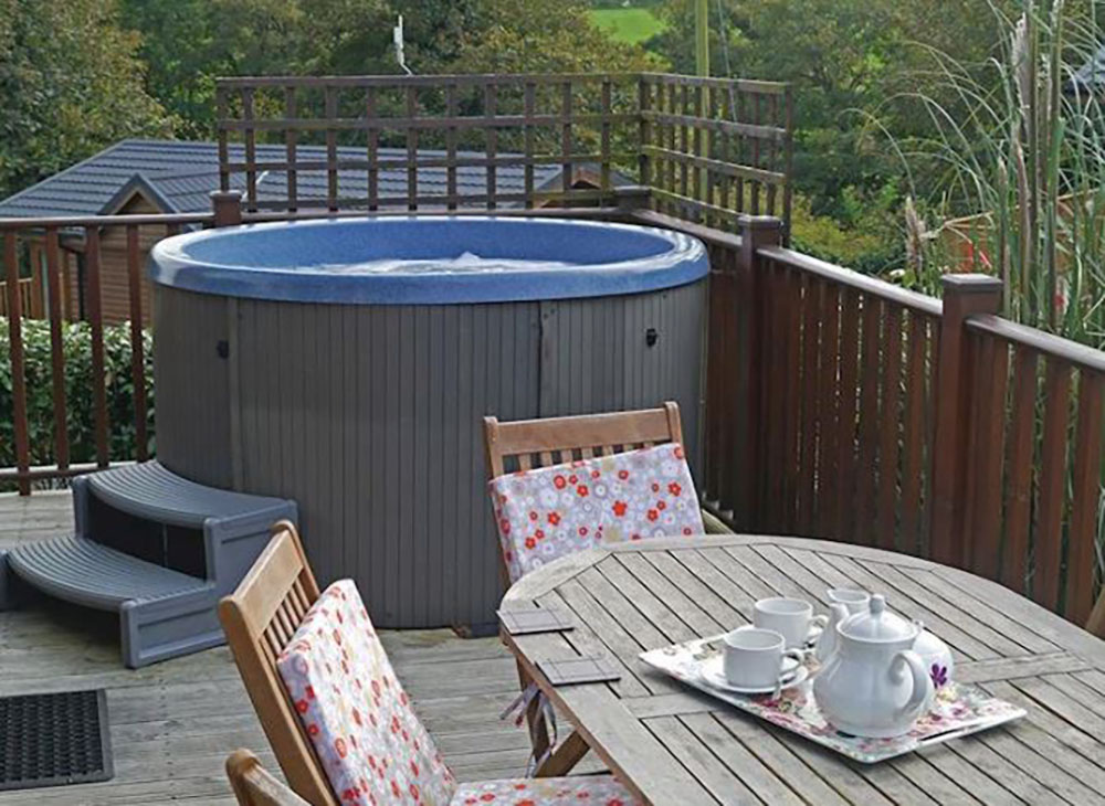 Bossiney Bay in Tintagel, North Cornwall, hot tubs and pet