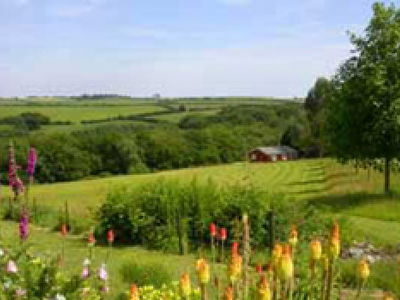 Picture of Cutkive Wood Holiday Lodges, Cornwall