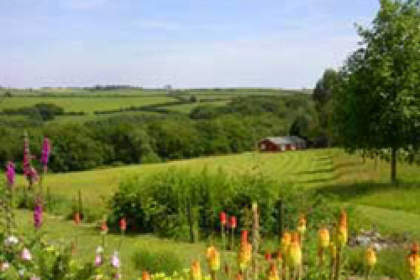 Picture of Cutkive Wood Holiday Lodges, Cornwall