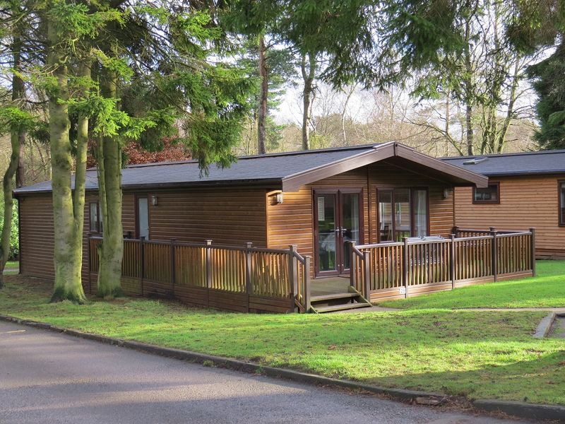 Darwin Forest Country Park Lodges for Rent