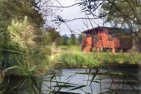 Picture of East Fen Lodges, Norfolk