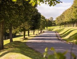Lodges for sale at Finlake in Devon