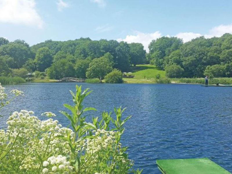 Garnffrwd Park in Pontyberem South Wales pet friendly cabins